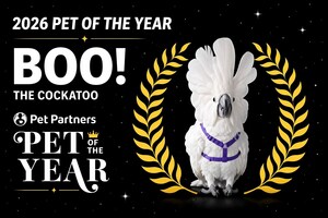 After 10 Years of Blindness, 41-Year-Old Cockatoo Becomes First Bird Ever Named Pet Partners Pet of the Year