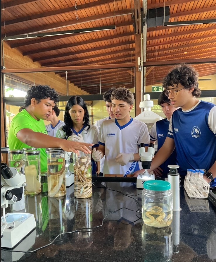 Unable to view the image, Please provide a valid URL.