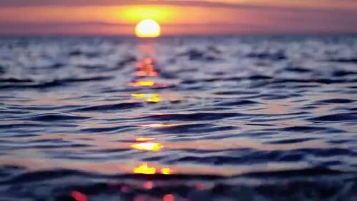 This image opens in the lightbox