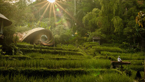 Bambu Indah's Treehouses Named Among the World's Most Spectacular by BBC Culture