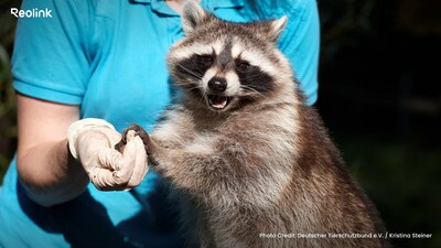 Reolink and Deutsche Tierschutzbund Harness Technology for Proactive Animal Welfare