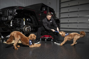 Introducing Mopaw From Mopar: Experts Equipping Four Paws and Four Wheels