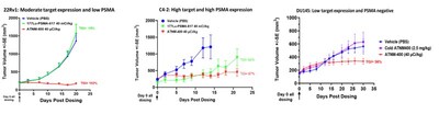 ATNM-400 is superior to 177Lu-PSMA-617 (Pluvicto) in both high-PSMA (C4-2) and low-PSMA (22Rv1) models, with activity also shown in PSMA-negative (DU145) disease