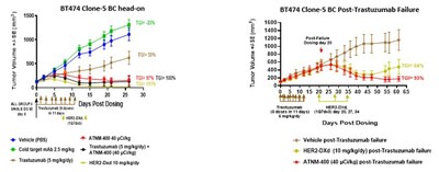 ATNM-400 achieves Enhertu-comparable efficacy in trastuzumab-resistant HER2+ breast cancer (BT474 Clone-5), with durable tumor control after treatment discontinuation