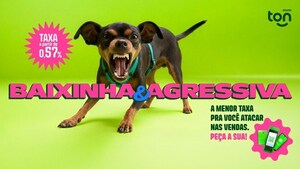 Pequeno no tamanho, grande na mensagem: Ton leva pinscher ao intervalo mais vigiado do Brasil