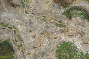 Conservation Equity Management Expands National Mitigation Banking Platform with Acquisition of Diversified Multi-State Portfolio