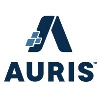 Auris Now Gives Employees Access to Wages Before Payday