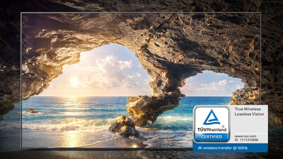 1. True Wireless Lossless Vision Certification