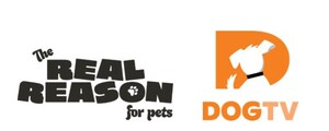 DOGTV Brings "The Real Reason for Pets" Campaign to Human Viewers