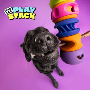 WAGLAB™ Is Rethinking Dog Toys
