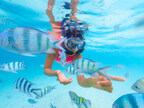 Snorkeling Tour at el Cielo Cozumel Reef Park