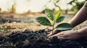 Plant it Forward: FirstEnergy Pennsylvania Celebrates Earth and Arbor Days with Free Trees in Westmoreland County