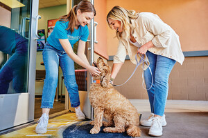 As Pet Parents Prioritize Routine, Wellness and Transparency, Dogtopia Reaches 90 Net Promoter Score