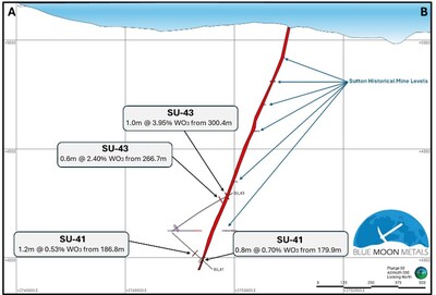 Figure 2: Historical high-grade tungsten trioxide drill results on the Claims. (CNW Group/Blue Moon Metals)