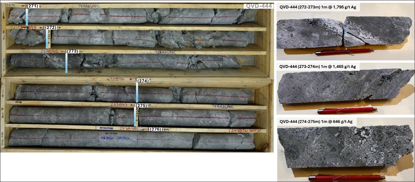 Figure 3. Drill hole QVD-444 returned 1,385 g/t Ag over a 4.0-meter interval starting at 271.0 meters. These findings underscore Mani-Copan’s potential to host significant high-grade mineralization. (CNW Group/Argenta Silver Corp.)