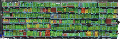 AI shelf scanning view showing retail products and shelf detection boxes