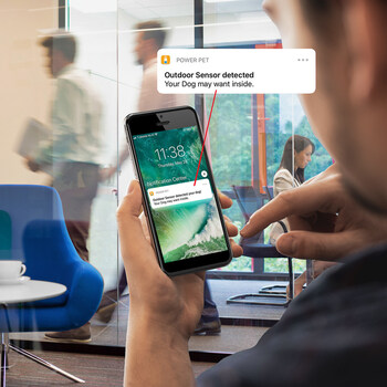 The Power Pet door app alerts you when your dog wants to go outside.