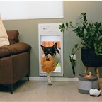 The Power Pet® doggy door was designed to look great in your home. It mounts flat against doors and walls. and fits in tight spaces like under window sills.