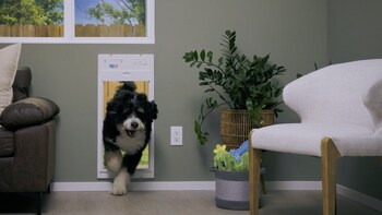 Power Pet® is the perfect fit for even your biggest dogs. The XL size accomodates dogs over 100 pounds.