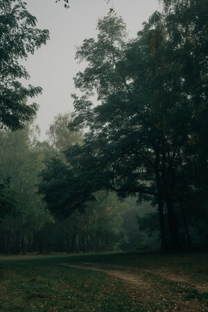 Growing Together: Life Time Foundation's Enduring Commitment to a Thriving, Healthy Planet