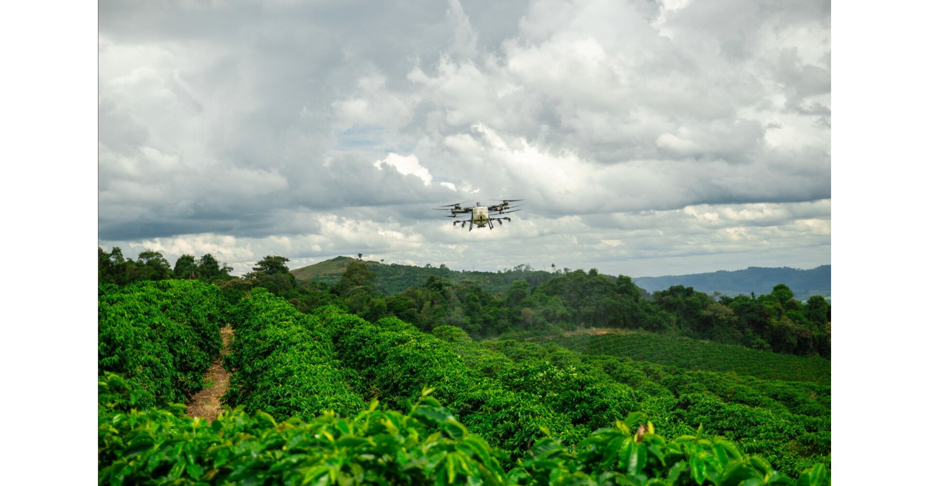 DJI Agriculture r&eacute;v&egrave;le que ladoption mondiale des drones agricoles r&eacute;duit les &eacute;missions de carbone de 51 Mt et permet d&eacute;conomiser 410 Mt deau pour les agriculteurs du monde entier
