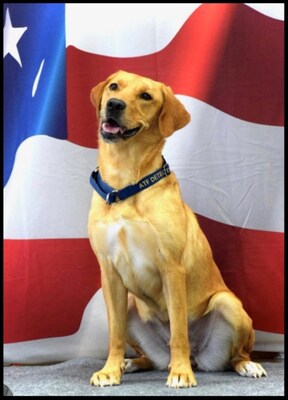 Alcatraz East Crime Museum - K9 Juno