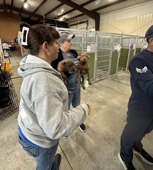Animal Rescue Corps partners with National Mill Dog Rescue to save more than 60 dogs from commercial breeders
