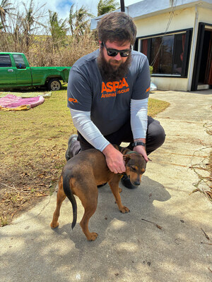 The ASPCA's disaster response team is assisting displaced and injured animals in Saipan following Typhoon Sinlaku.