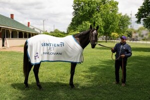 Sentient Jet Reaches 10‑Year Milestone at the Kentucky Derby®