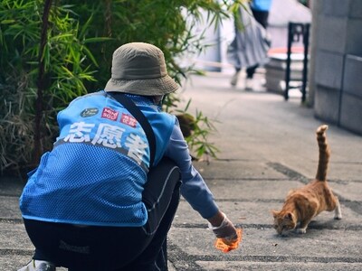 Stray Cat Assistance Project (PRNewsfoto/MINISO)