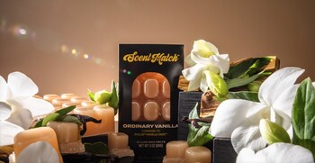 Ordinary Vanilla