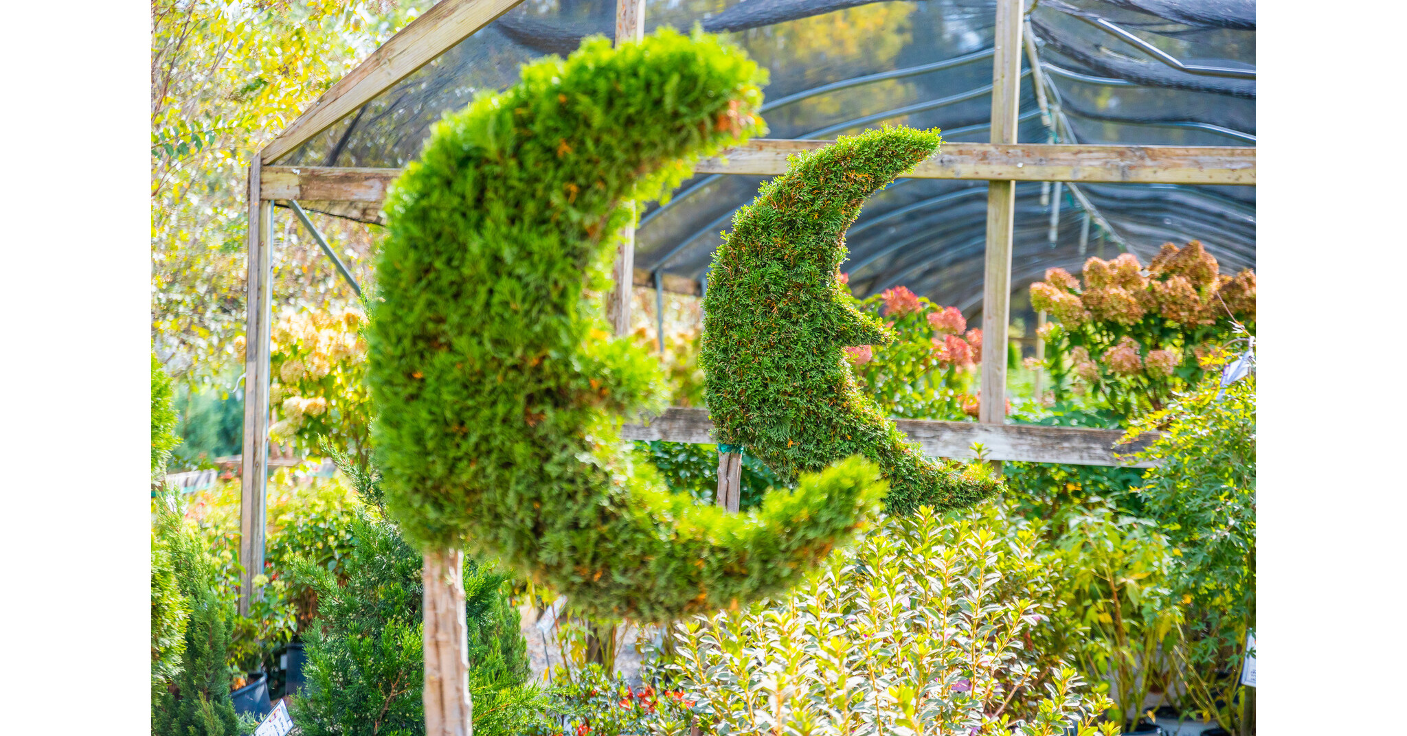 Moon Valley Nurseries Debuts Third Tennessee Location in Hendersonville