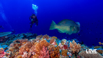 The Coral Triangle's Crown Jewel: Diving the Philippines' Protected Reefs