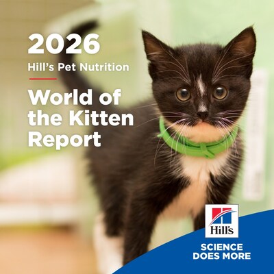 Pour un bon départ dans la vie : le rapport World of the Kitten de Hill's aide les équipes vétérinaires et les parents d'animaux à faire les bons choix durant cette première année cruciale