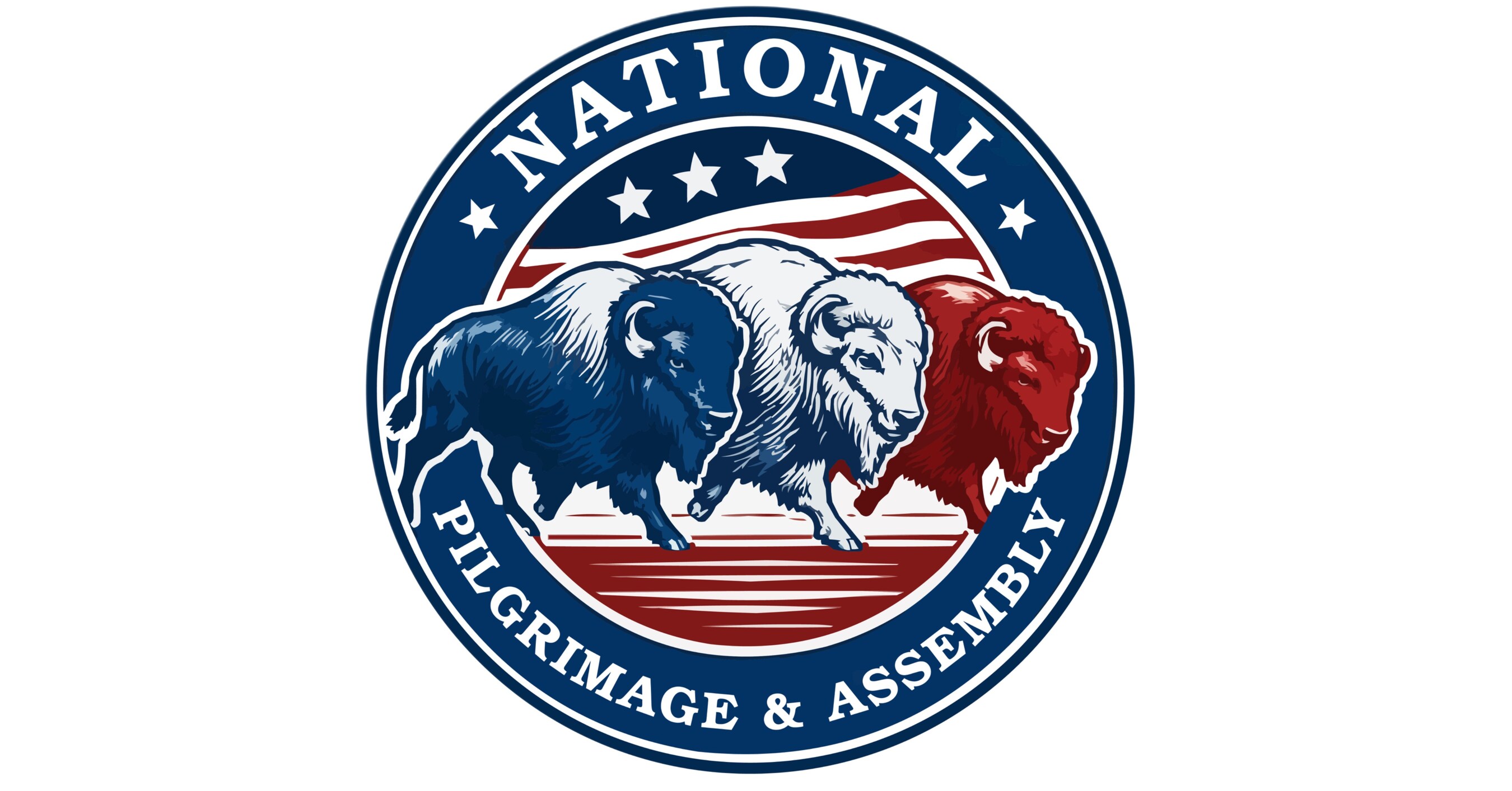 Will You Be Chosen? National Assembly Seeks Citizens to Draft New Covenant for Americas 250th