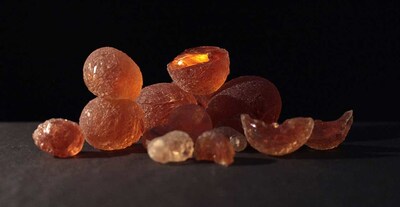 PAT Ingredients holds U.S. inventory of Oregon Tilth-certified organic gum acacia as Sudan supply pressure continues