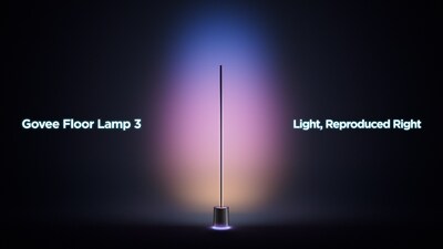 Govee Floor Lamp 3