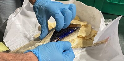 La GRC et l'ASFC démantèlent un groupe criminel après la découverte de près de 250 kg de cocaïne dans un conteneur maritime à Halifax