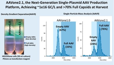 AAV2.1, achieving ~1e16GC/L and >70% Full Capsids at Harvest