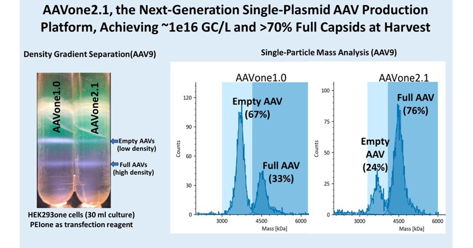 AAVnerGene anuncia AAVone&reg;2.1