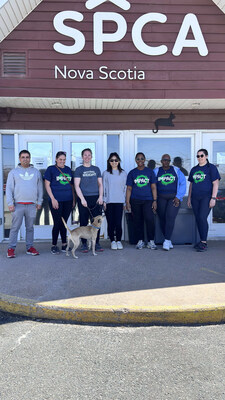Colleagues volunteering at the Nova Scotia SPCA in Dartmouth. (CNW Group/Manulife Financial Corporation)