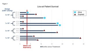 Figure 1. Swimmer plot summarizing patient survival following treatment with lira-cel in Anixa’s ongoing Phase 1 clinical trial in recurrent ovarian cancer.
