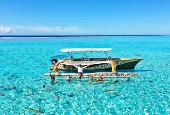 Best of Bora Bora Getaway's Sea Safari with Naari