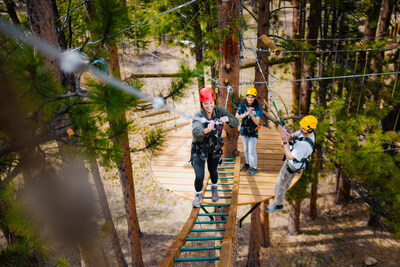 Aerial Challenge Course