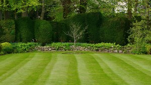 TopGrass Opens New Chelmsford Depot, Bringing Expert Lawn Care Services to Homes Across Essex