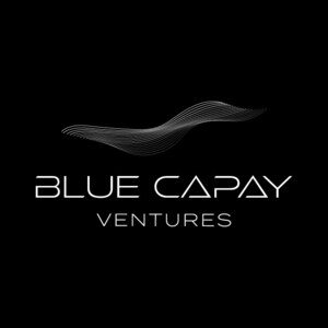 Wall Street Veteran Sabrina H. Phillips Launches Blue Capay Ventures, a Global Investment Banking and Strategic Advisory Firm