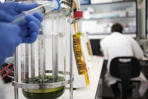 SUANNUTRA USA Seals US Distribution Rights for TetraSOD®