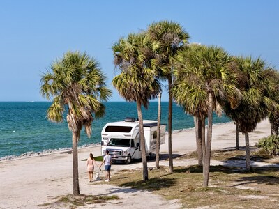 RV on beach with palm trees and couple with dog.