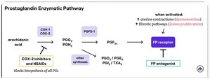 Maipl Therapeutics Reports Preclinical Progress for MA-4604, a Novel Oral Non-Hormonal Treatment of Endometriosis