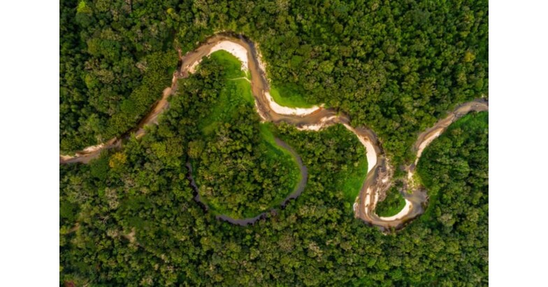 Idesam launches global R&D challenge to turn Amazon biodiversity into impact-driven businesses